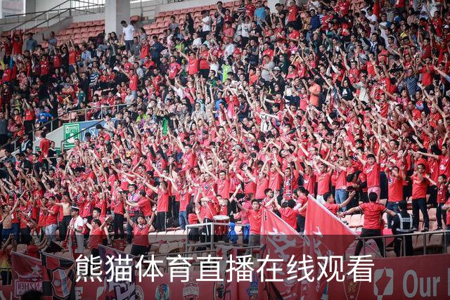 熊猫体育直播在线观看团队与服务介绍